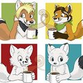 Coffee Fox Gallery by pandapaco