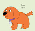 Dog Daily Character - Nellie