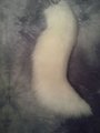 Curvey White Wolf/Fox Tail - Commission