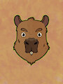 Colored Capybara Headshot by CitrusSeed