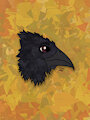 Raven Profile Headshot by CitrusSeed