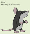 Mouse Daily Character - Mouse (Little Einsteins)