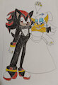 Shadow and Rouge Wedding by PrincessShannon