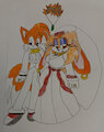 Tails and Cream Wedding by PrincessShannon
