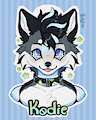 Kodie's First Badge