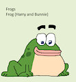 Frog Daily Character - Frog (Harry and Bunnie)