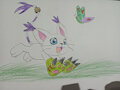 Gatomon and the butterfly