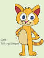 Cat Daily Character - Talking Ginger