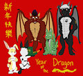 Year of the Dragon 2024 by haihaiena