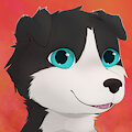 Icon - Lexario the Border Collie by Haika98