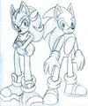 Shadow and Sonic