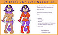 Commission- Juanita ZX Reference Sheet