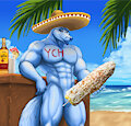 Sombrero at the Beach!    (Reminder) by R4CCKY