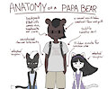 Anatomy of a Papa Bear by Geekycoon