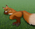 Sleeping fox by Rahir