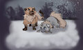 Dog Types in Snow - Rdy Fanart