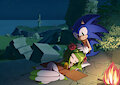 Commission Sonic and Cosmo camping night on Ouranos island by HowXu