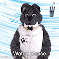 Water, please