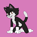 Me (Felyne From) Sonic Editon by PeterTheMoogle