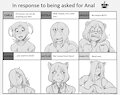 Anal questions.