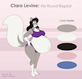 Clara Levine: the Round Ragdoll