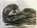 Sea Otter by Dbruin