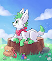 Shaymin Horizons