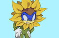 [MM] Sunflower Sonic by MidnightMuser