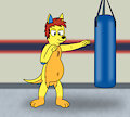 Kai practicing with a punching bag by BearsFlush