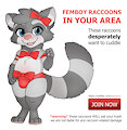 Femboy Raccoons by Xenoyia