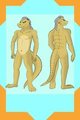 Ryxer Reference Sheet