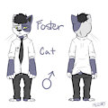 Foster adopt by furrylemer12