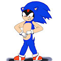 Sonic'd Shadow