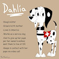 Dahlia Dalmatian by SlightlyArousedGuy