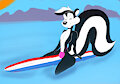 Cute Skunk