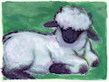 little-sheep2024