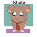 My new ham oc khata