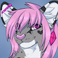 Feral Kitty Icon