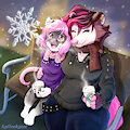 Winters wonders