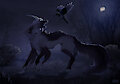 A demon in the dark [notostapk] by Galaxios