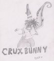 crux! by Duffy
