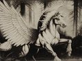 Pegasus by ern