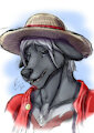 Straw Hat Wolf by sh30gorath