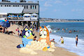 Bluey and Bingo at Salisbury Beach by DisneyBlueyFan