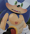 Shadow squeezes Sonic's boobs by XxHahaMonsterPpxX