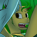 Water Slide (LxM2)