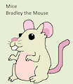 Mouse Daily Character - Bradley the Mouse