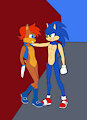 Sonic meets Male Sally by LoneWolf23k