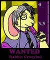 Wanted slutbunny :V by Rabbitsocks