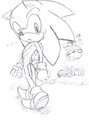 Sonic Xmas by TenshiGarden